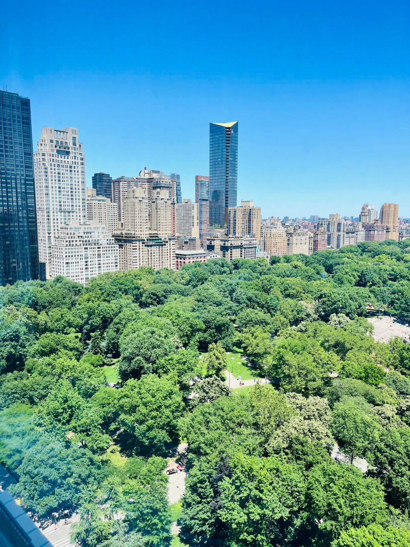 High-rise view of Central Park trees and Manhattan skyline on a sunny day, showcasing luxury residential cleaning service locations.