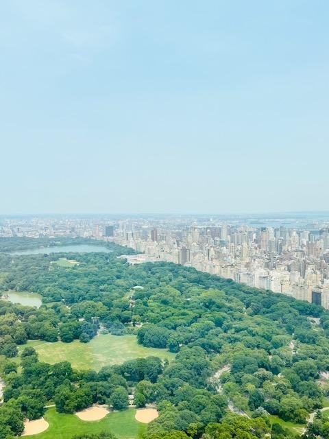 view from Tower on West 57th street billioner's raw