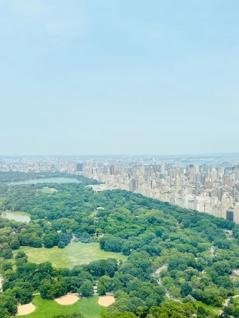 view from Tower on West 57th street billioner's raw